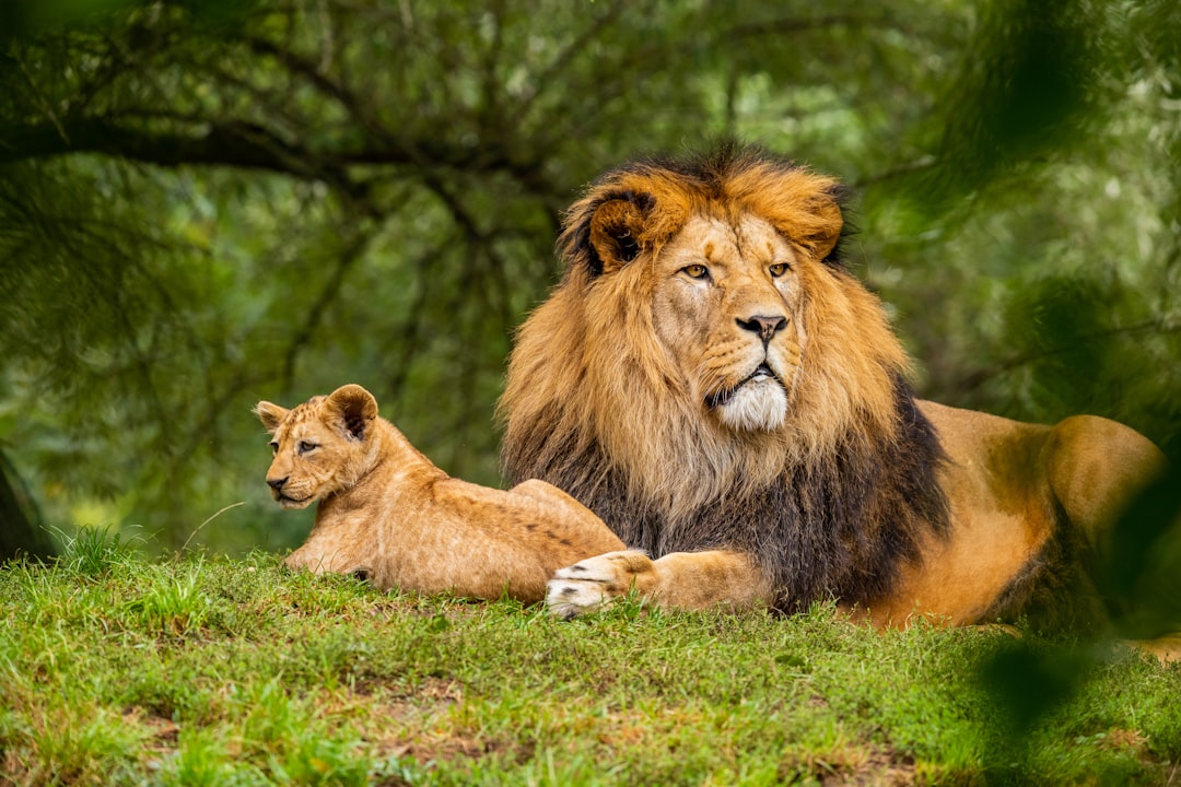 Photography equipment and prints