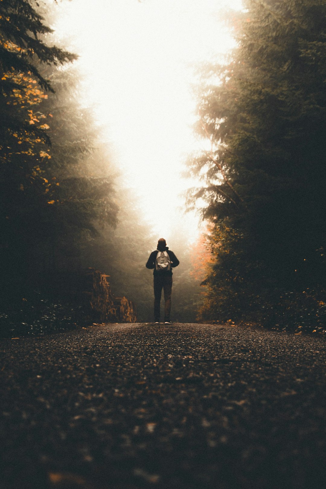 Rule of thirds in landscape photography