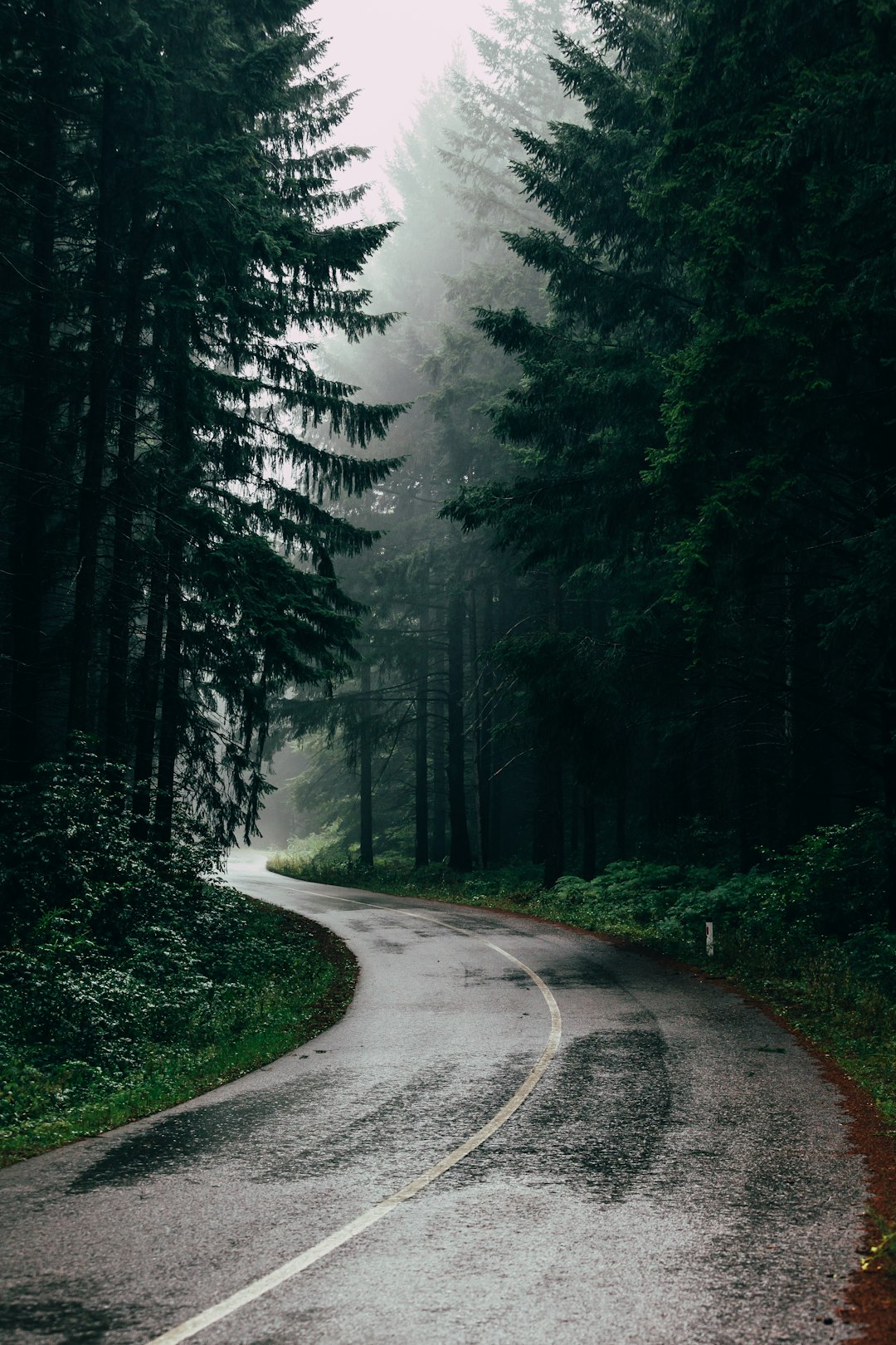 Essential landscape photography gear